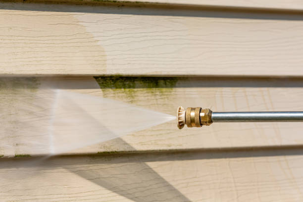 Best Pressure Washing Driveway  in Apple Valley, CA